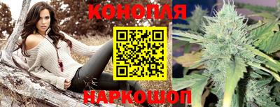 наркотики Гатчина