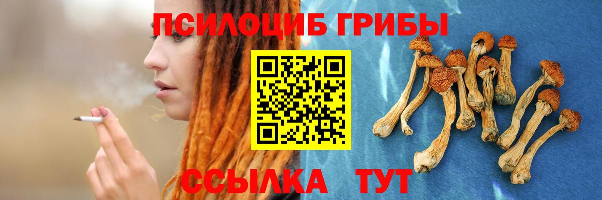 Псилоцибиновые грибы MAGIC MUSHROOMS  Вход с VPN  Грозный 